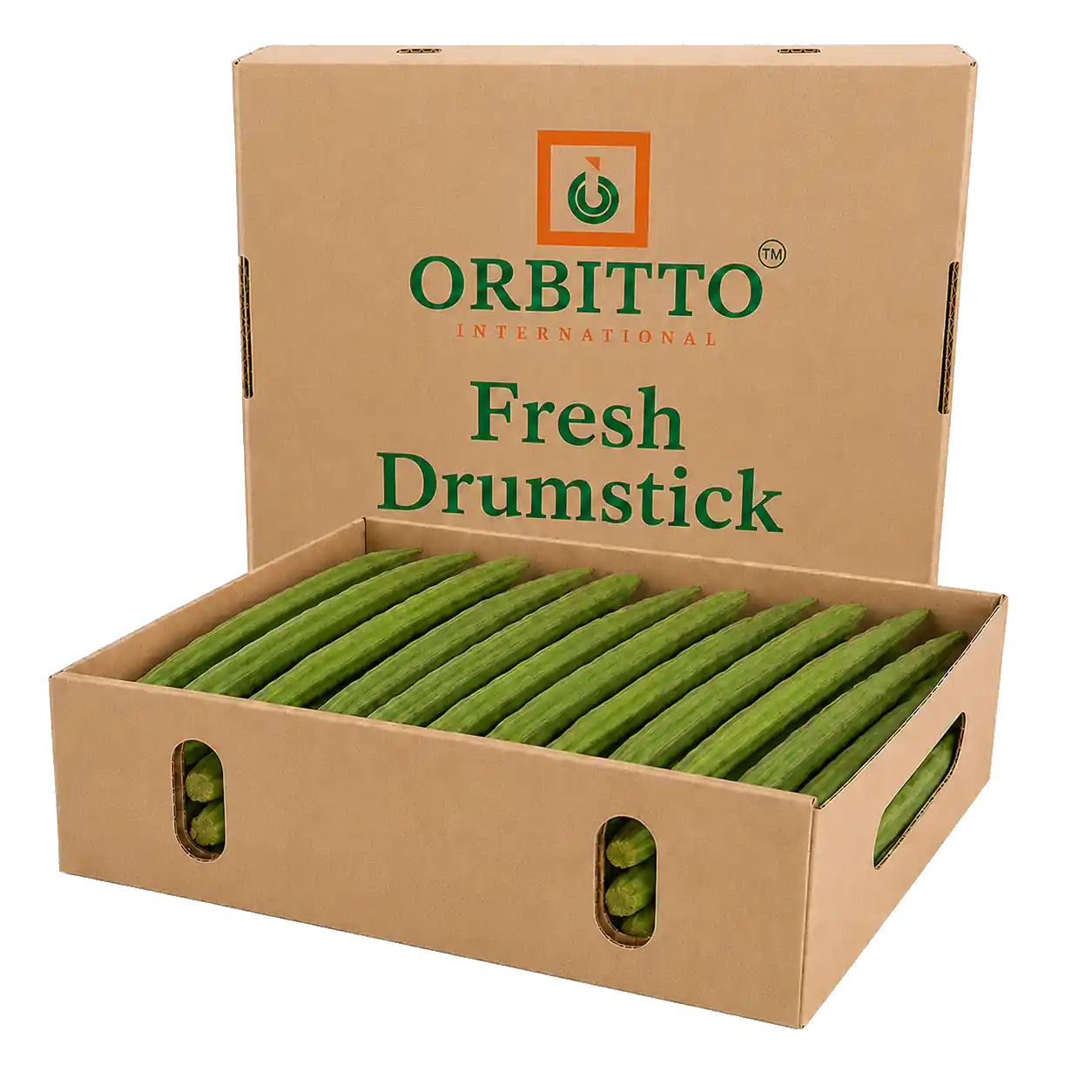 Drumstick