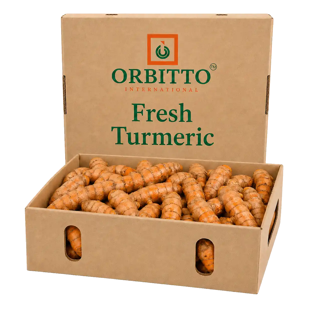 Fresh Turmeric