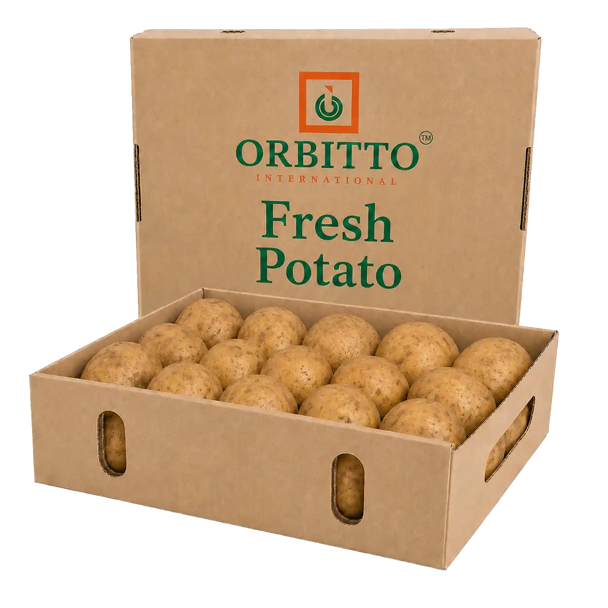 Potato