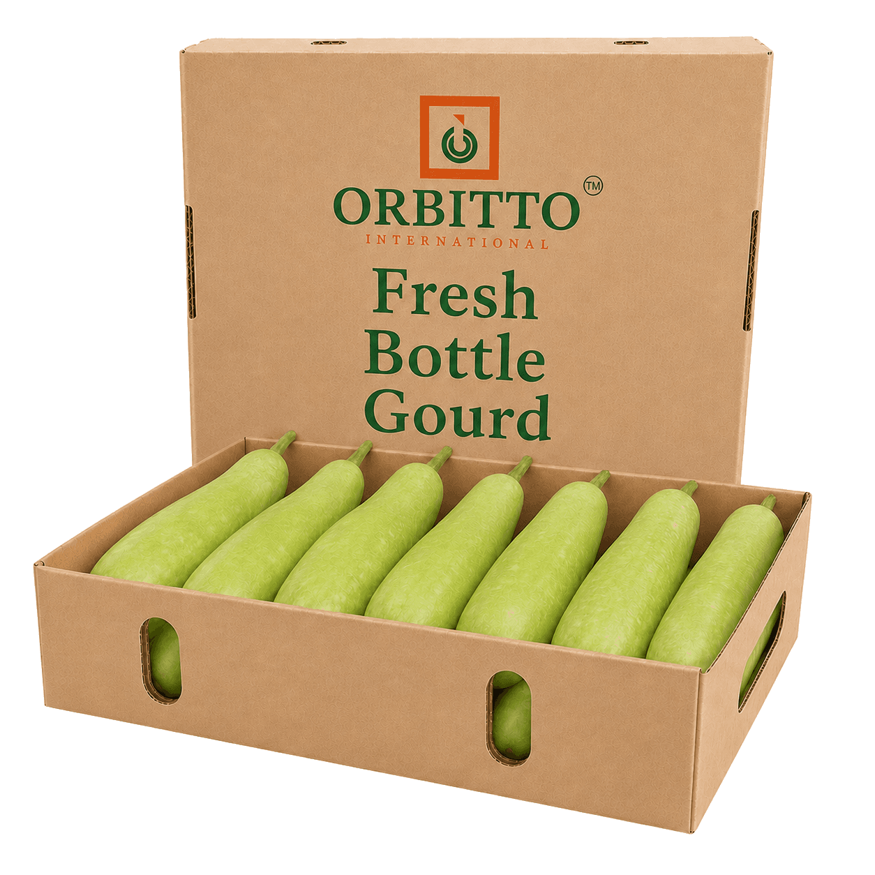 Bottle Gourd