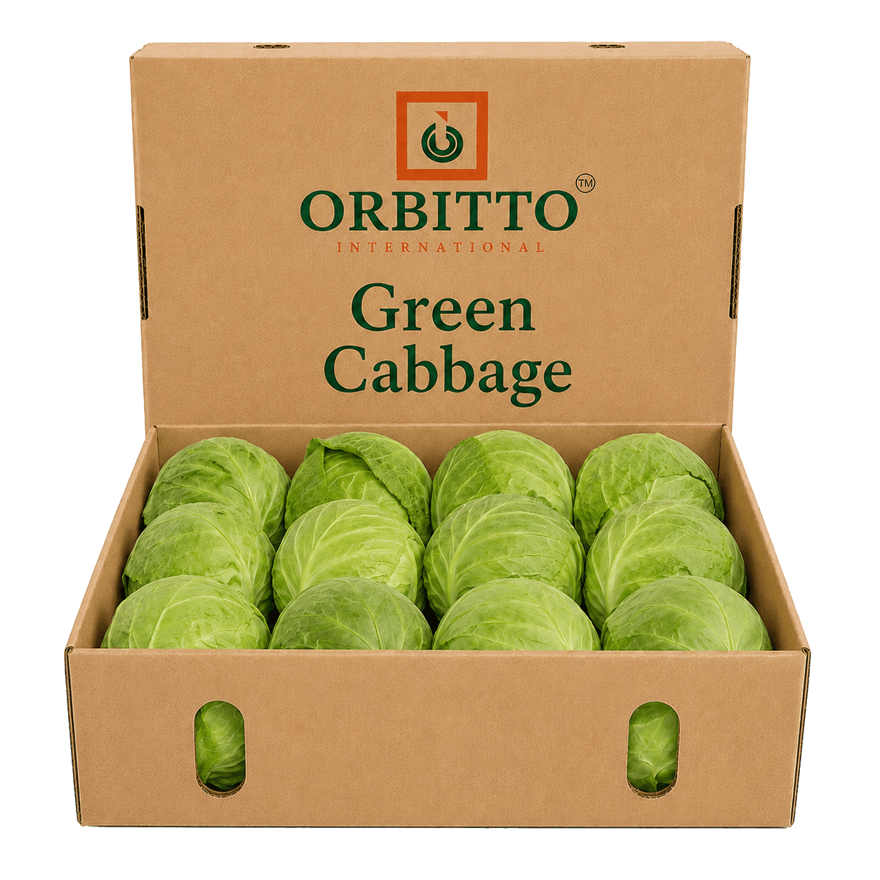 Cabbage
