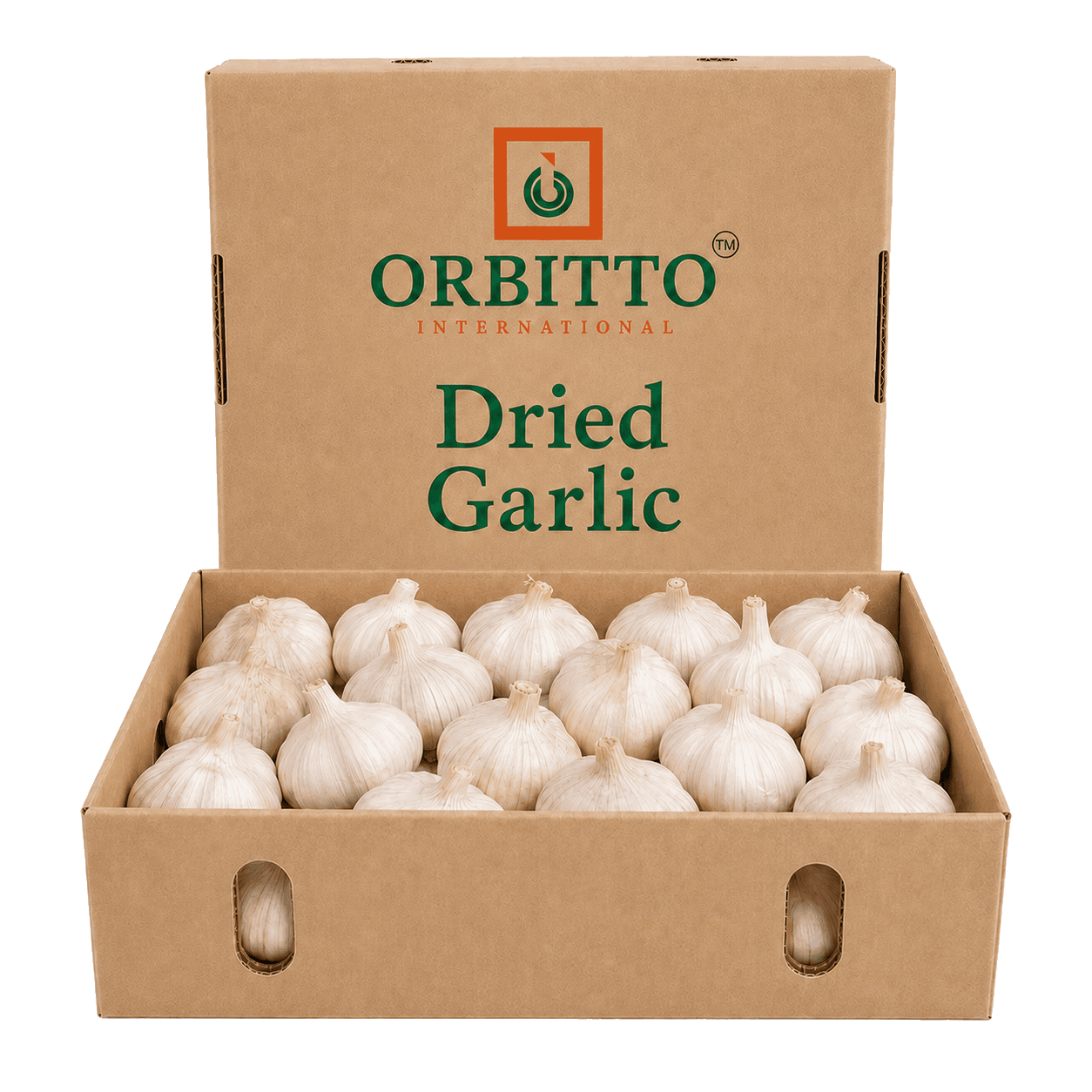 Garlic