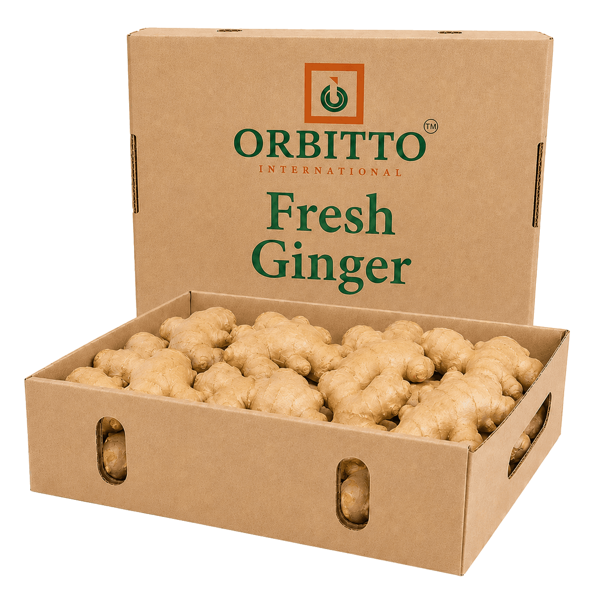 Ginger